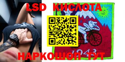 apvp Канаш