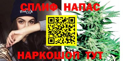 apvp Канаш
