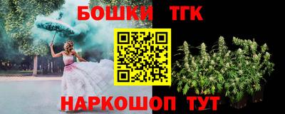 apvp Канаш